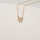 Plain solid Gold Star of David Necklace